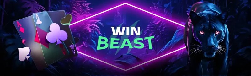 Learn about casino winbeast